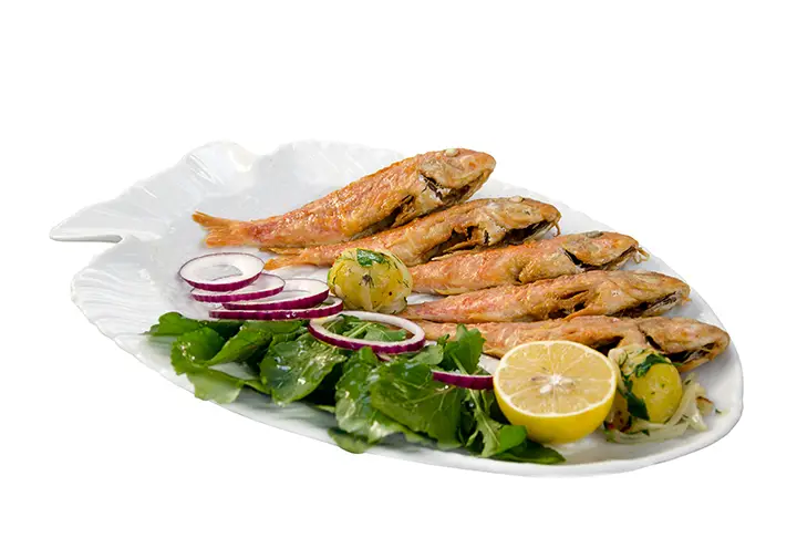 Sirkede Barbunya Balığı