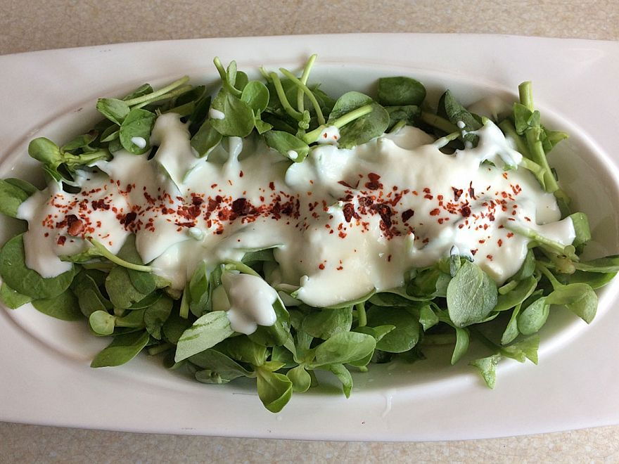 Yoğurtlu Semizotu Salatası