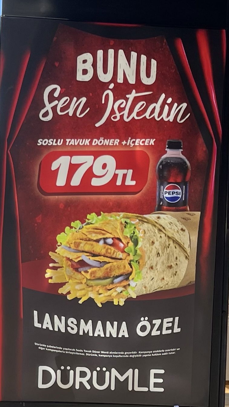 Bunu sen istedin