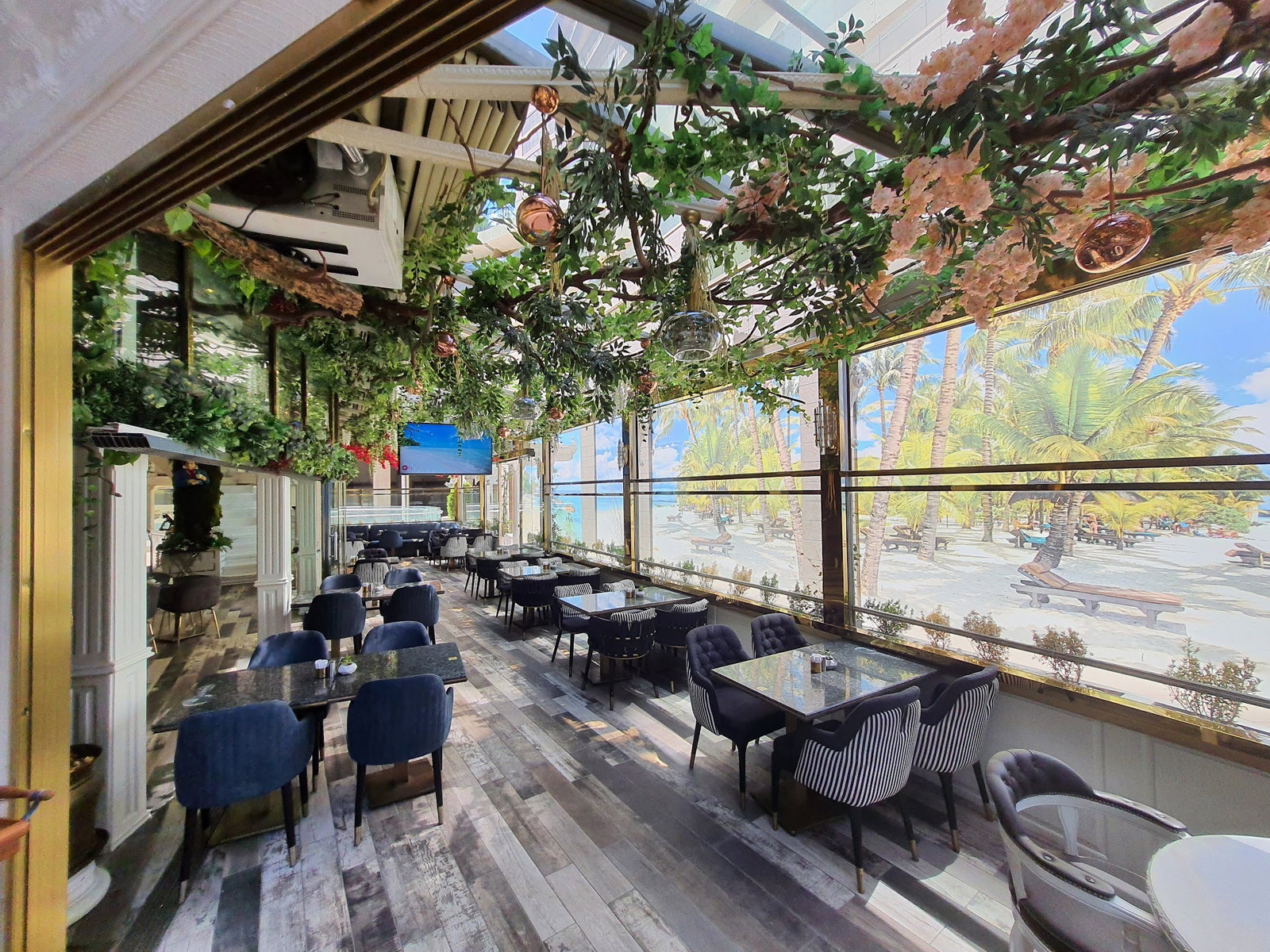 Beethoven Cafe