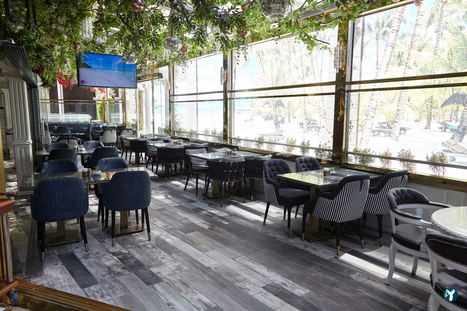 Beethoven Cafe