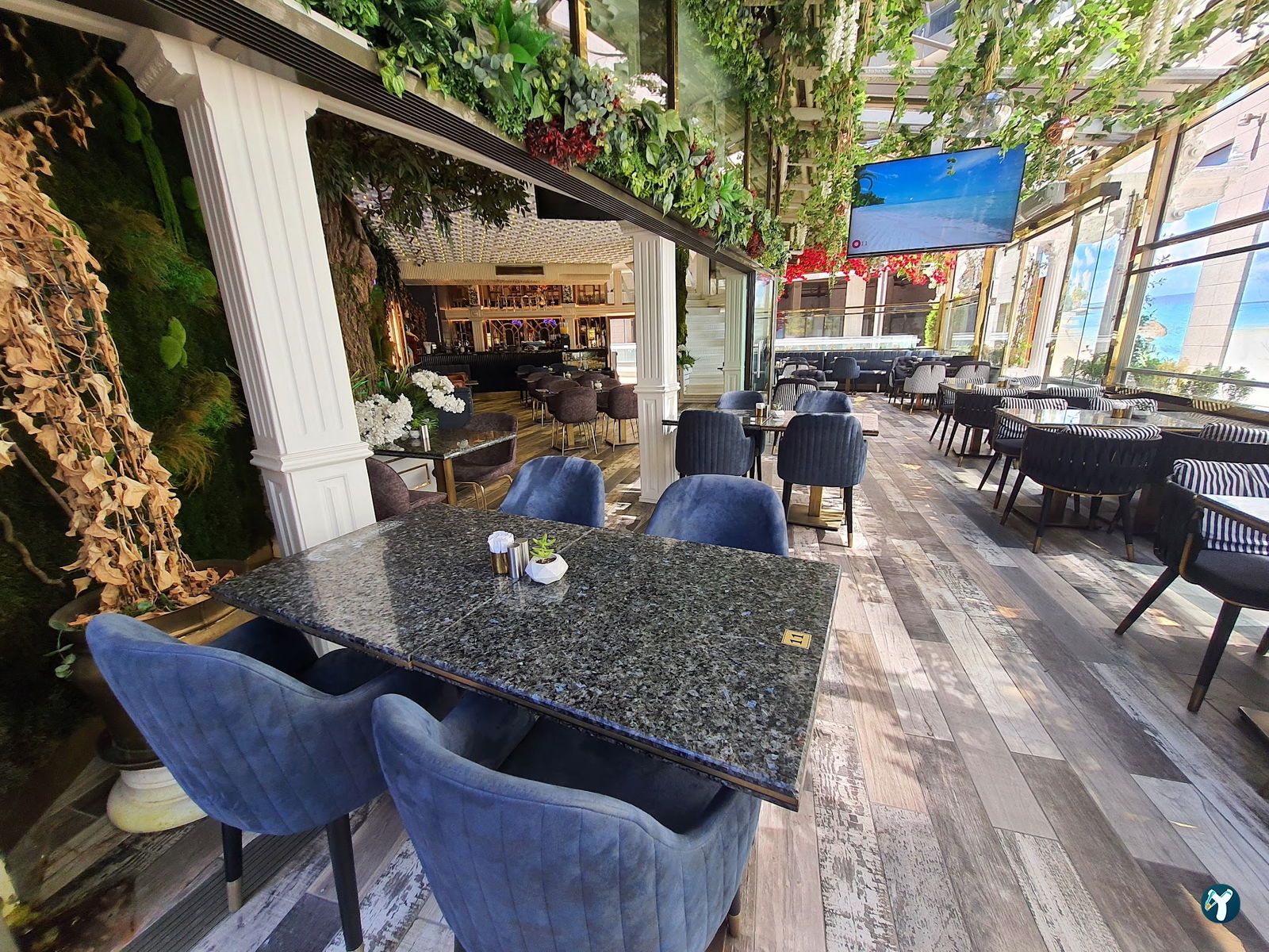 Beethoven Cafe