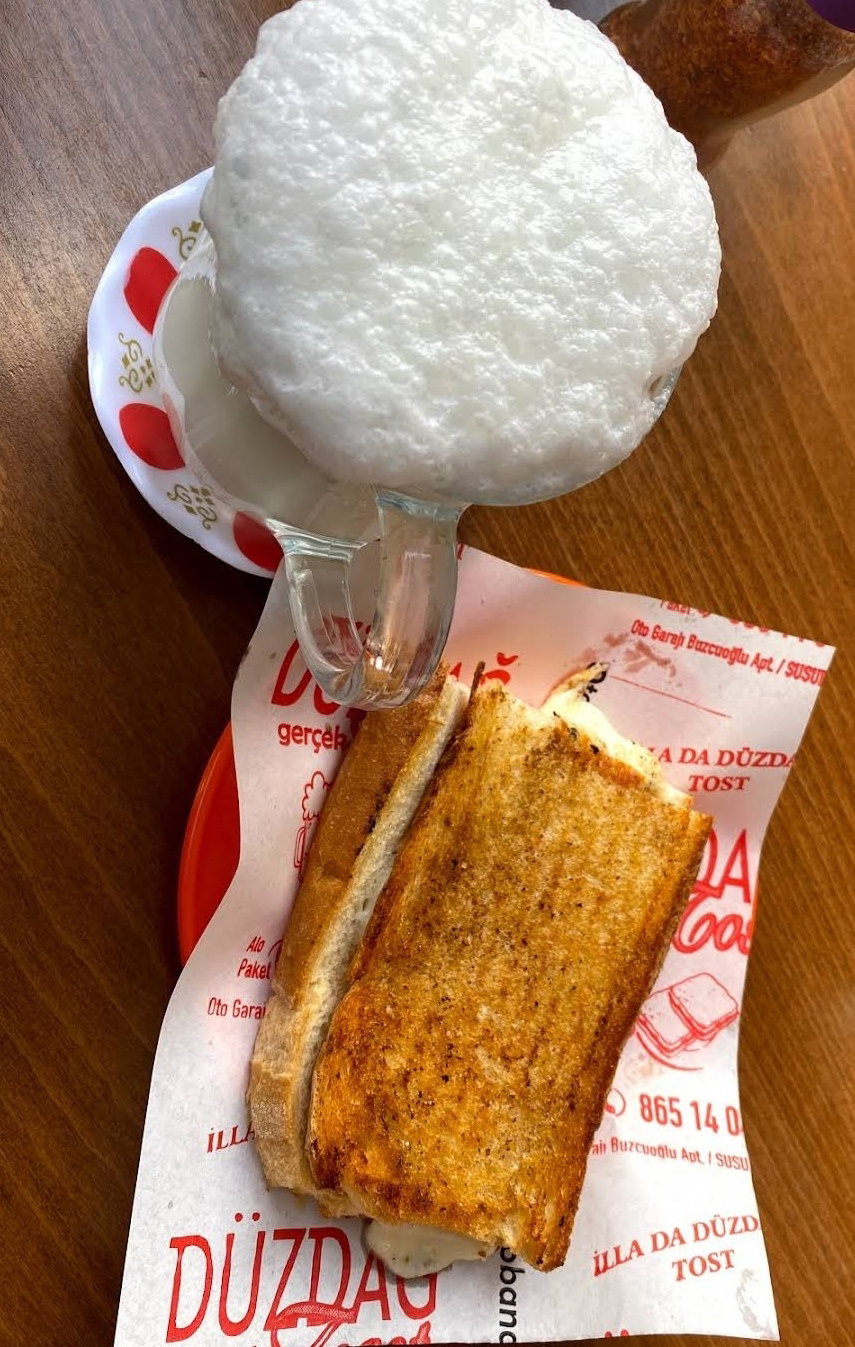 Düzdağ Tostçusu