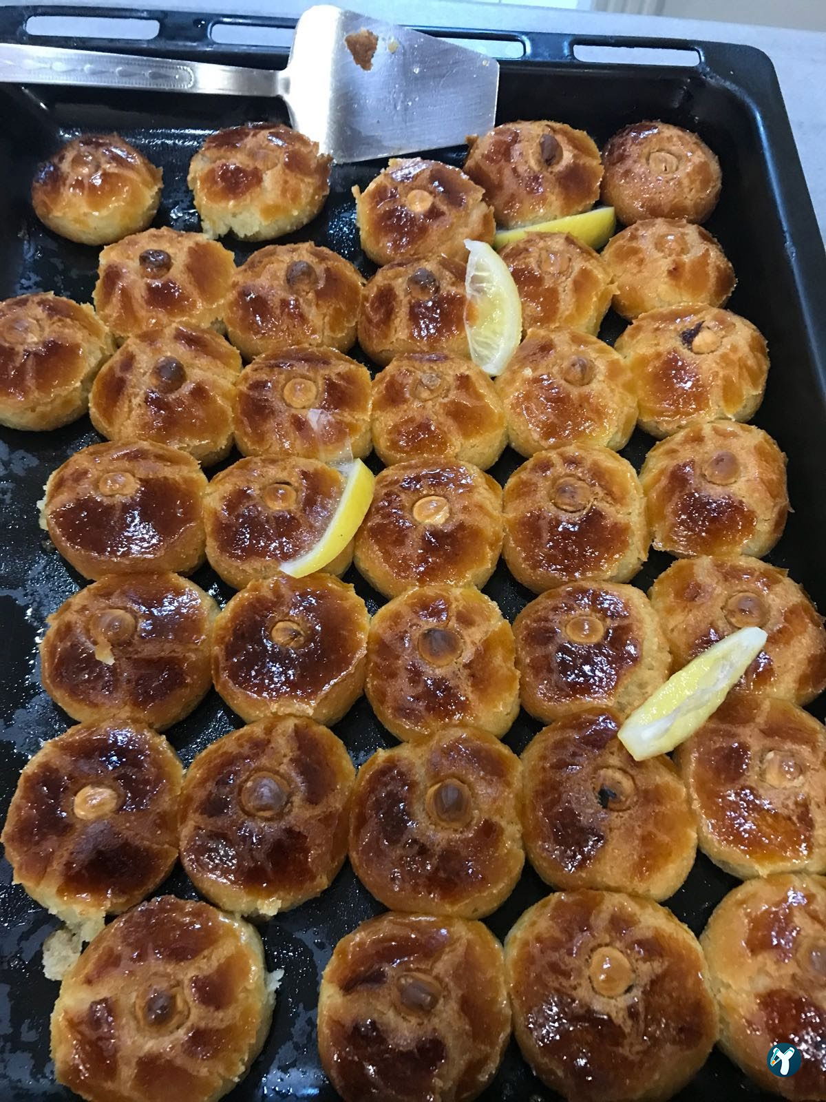 Hanımeli Cafe