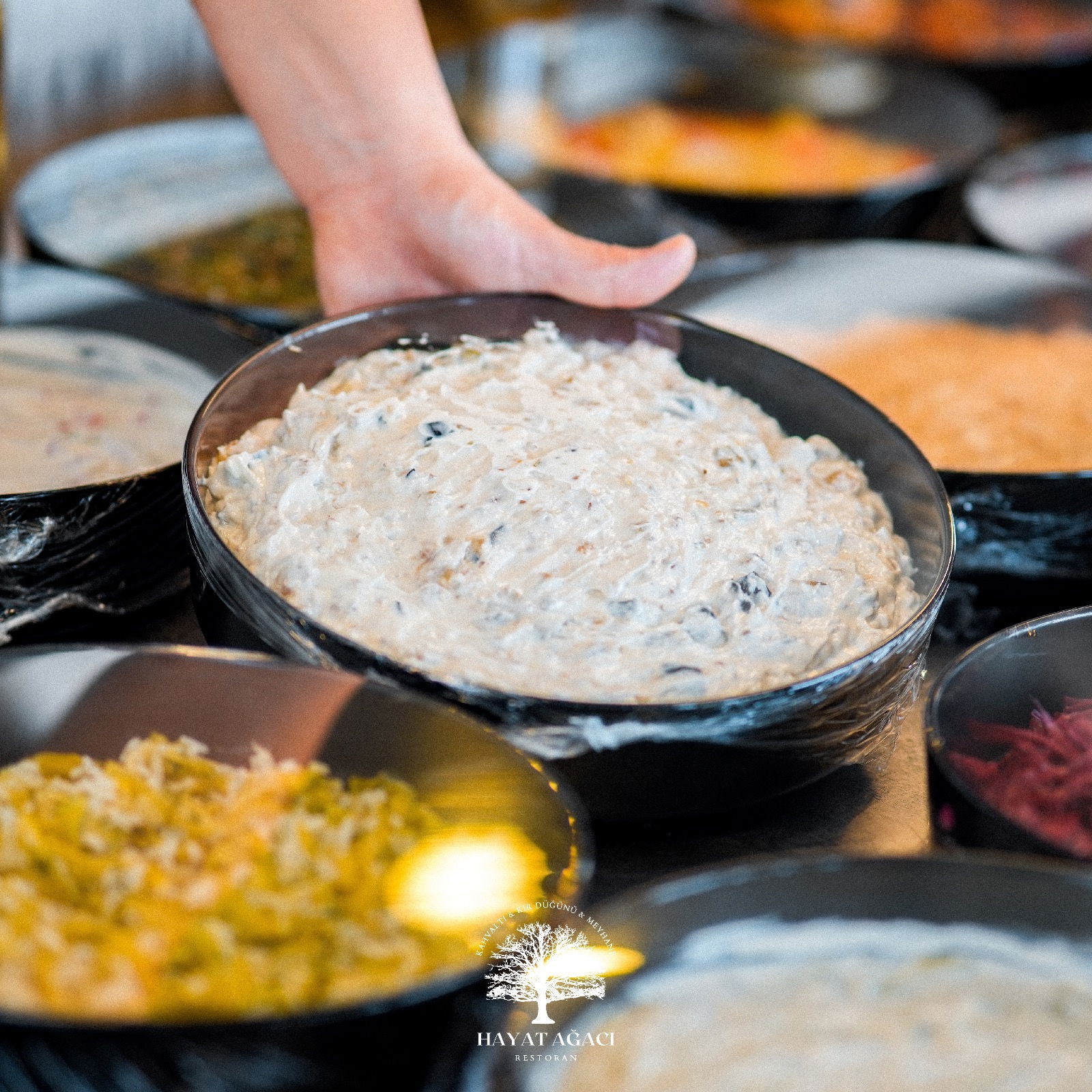 Hayat Ağacı Kır Bahçesi / Restoran
