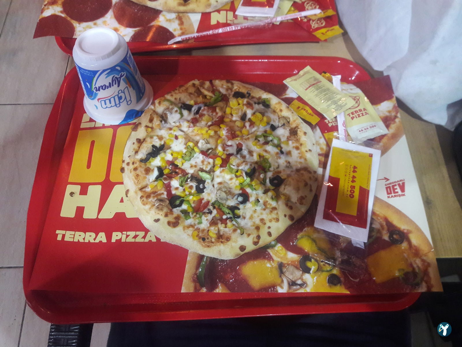 Terra Pizza