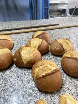 Bozkuş Ekmeği resimleri