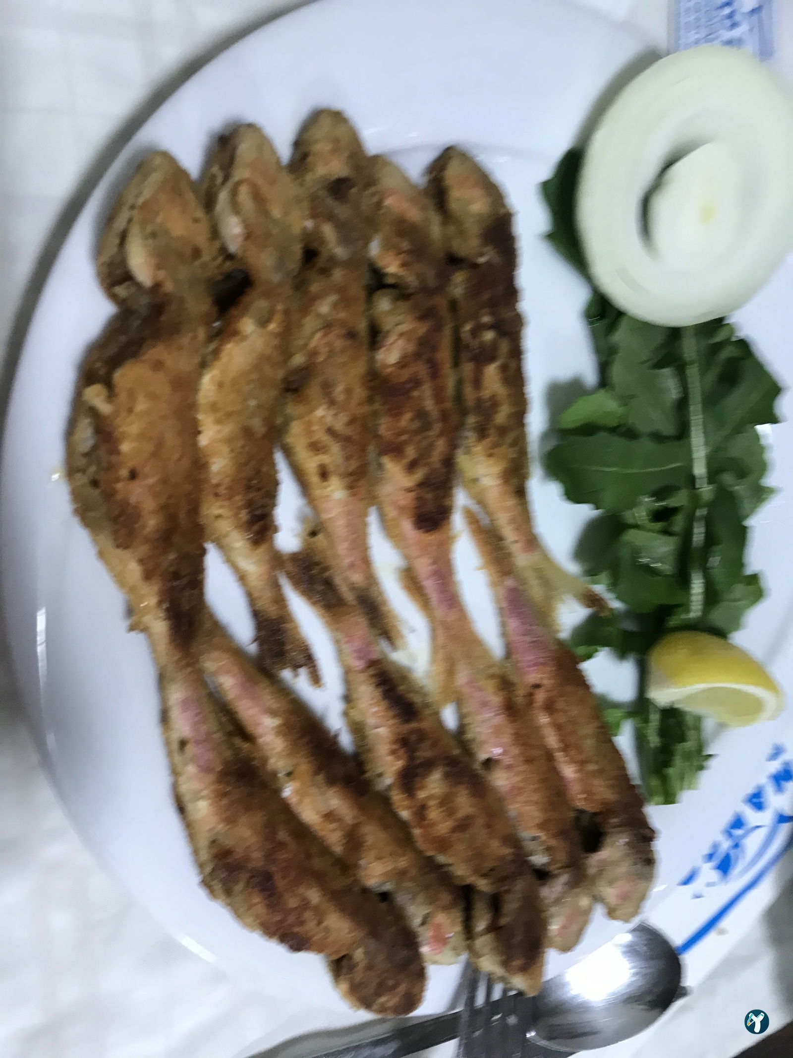 Manço Balik Evi̇