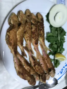 Manço Balik Evi̇ resimleri Manço Balik Evi̇ resimleri