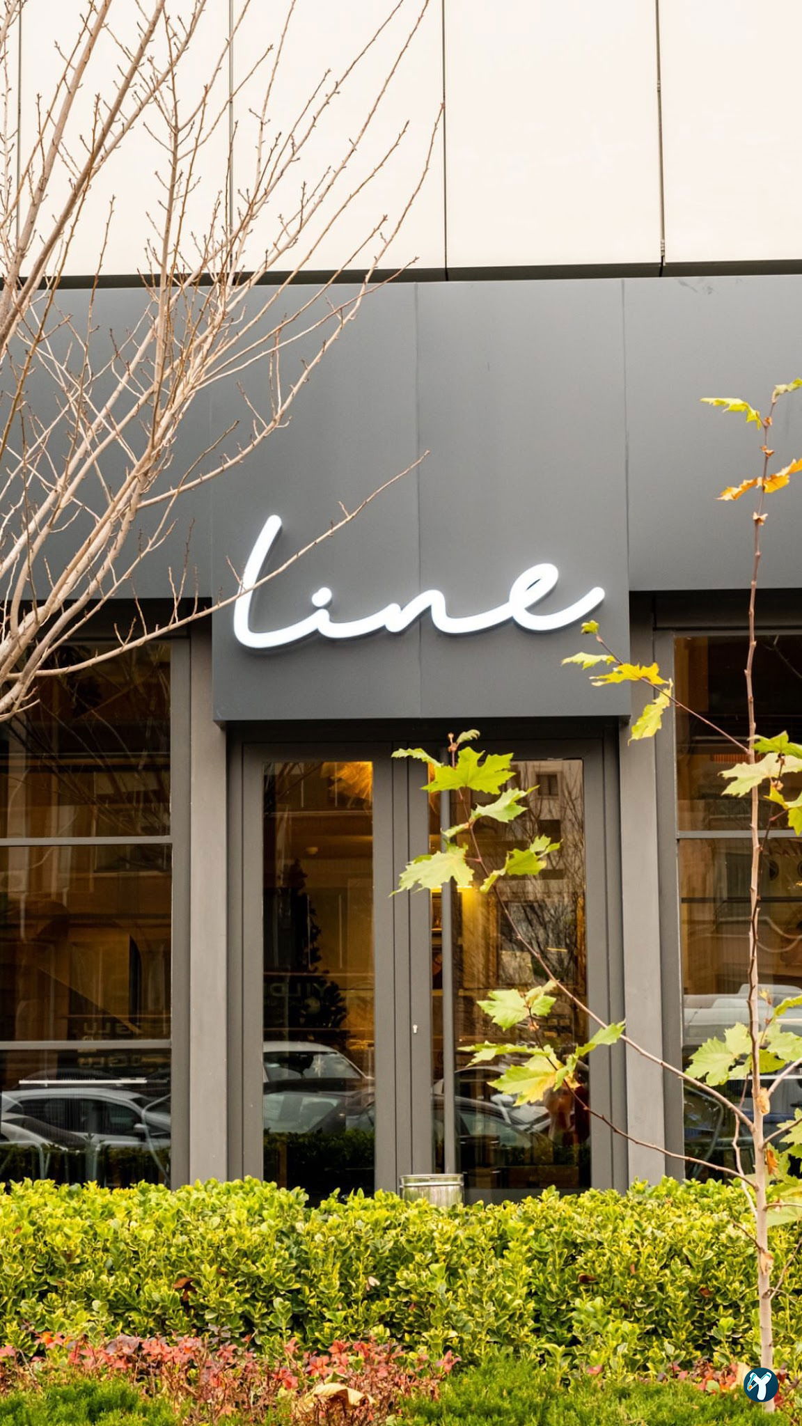 Line Coffee - Maidan