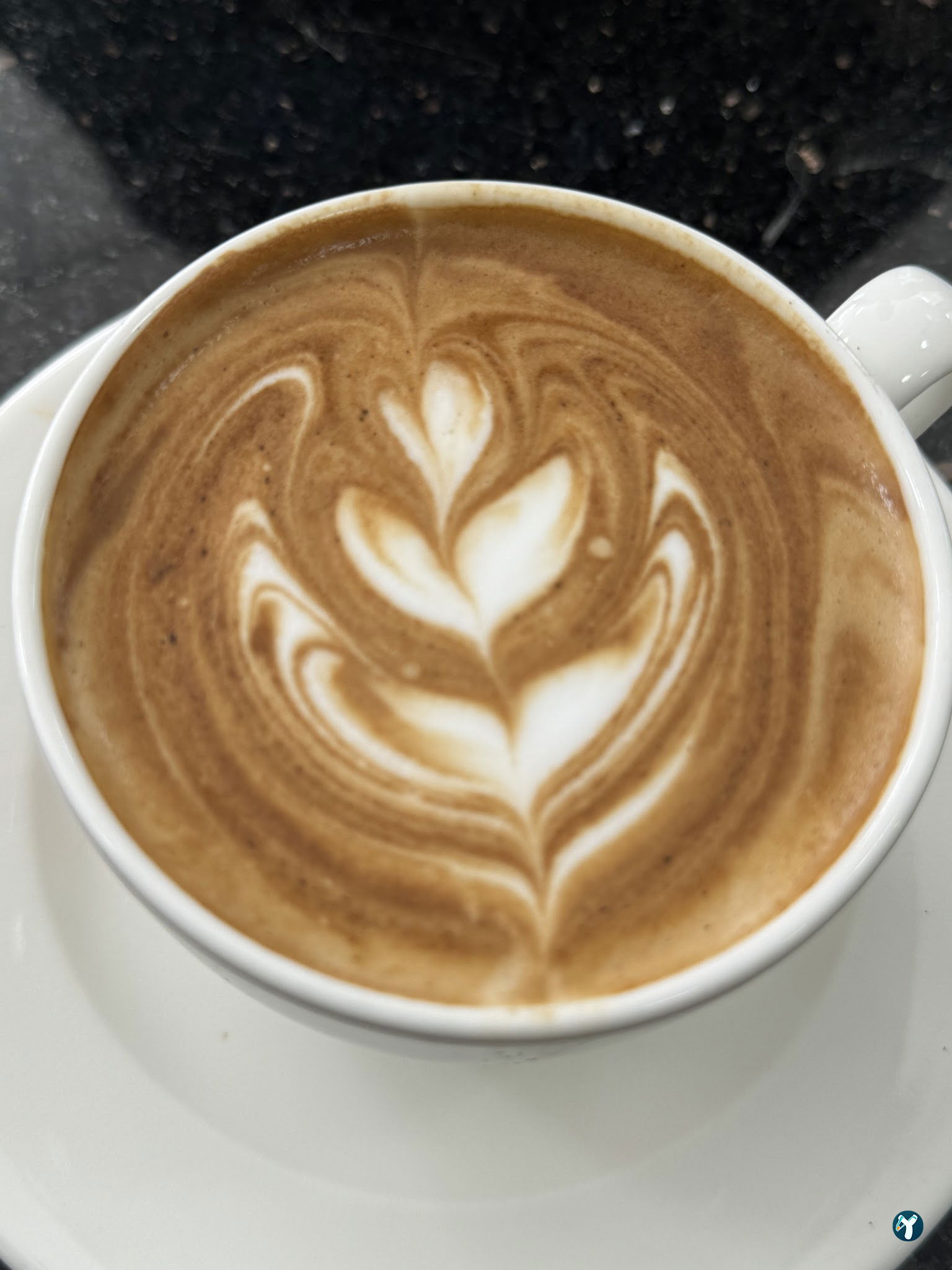 Orkide Cafe