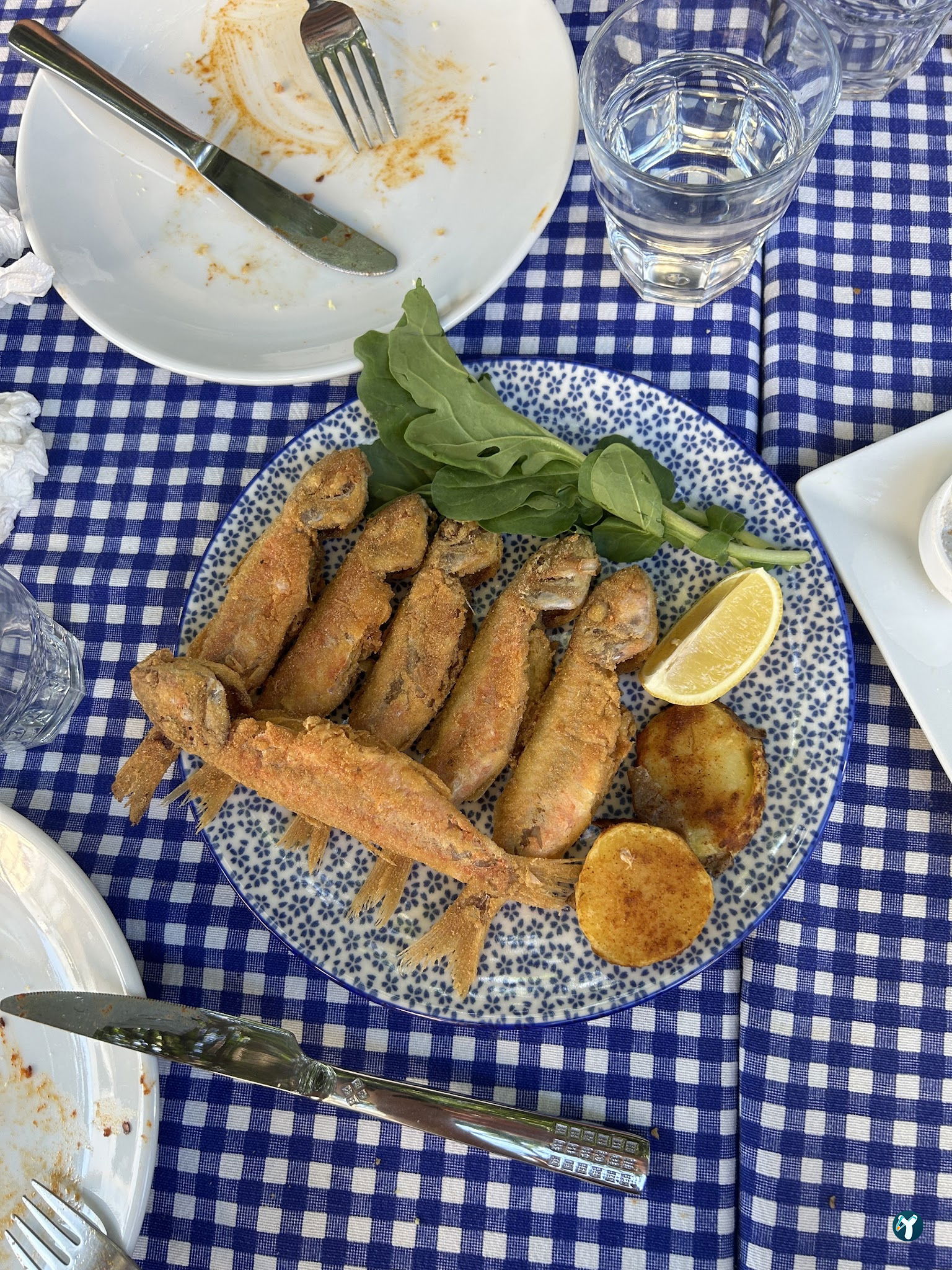 Ege'De Maya Bodrum
