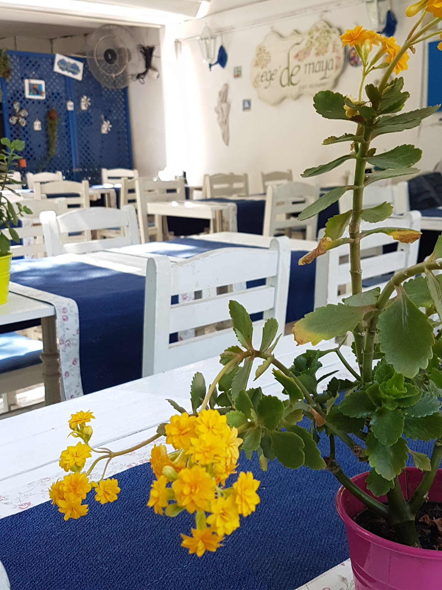 Ege'De Maya Bodrum