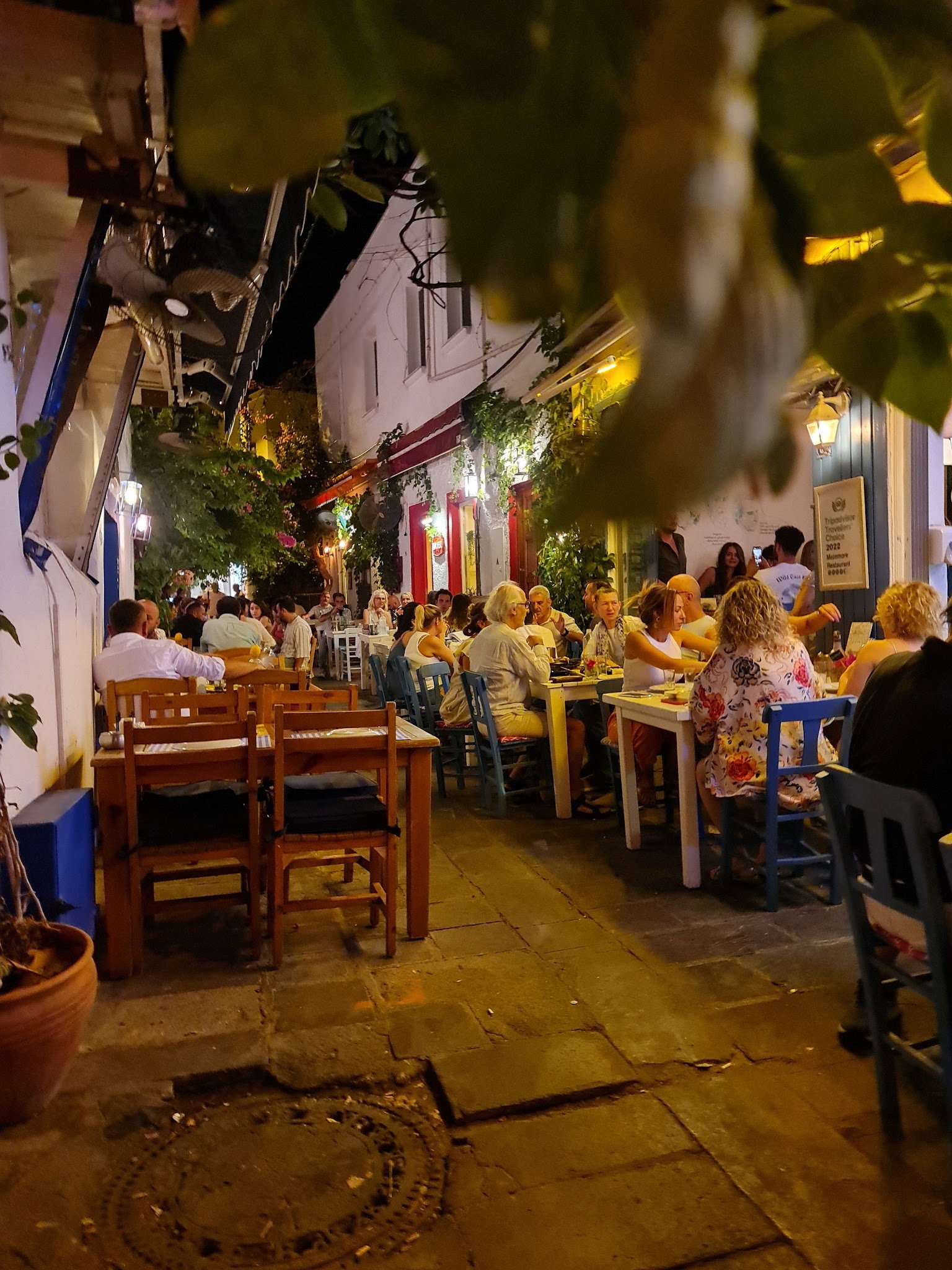 Ege'De Maya Bodrum