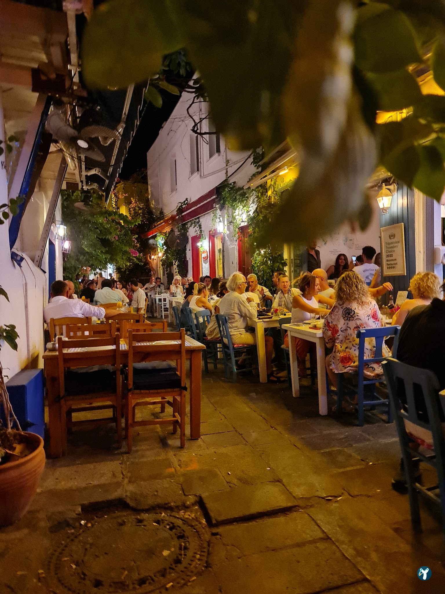 Ege'De Maya Bodrum