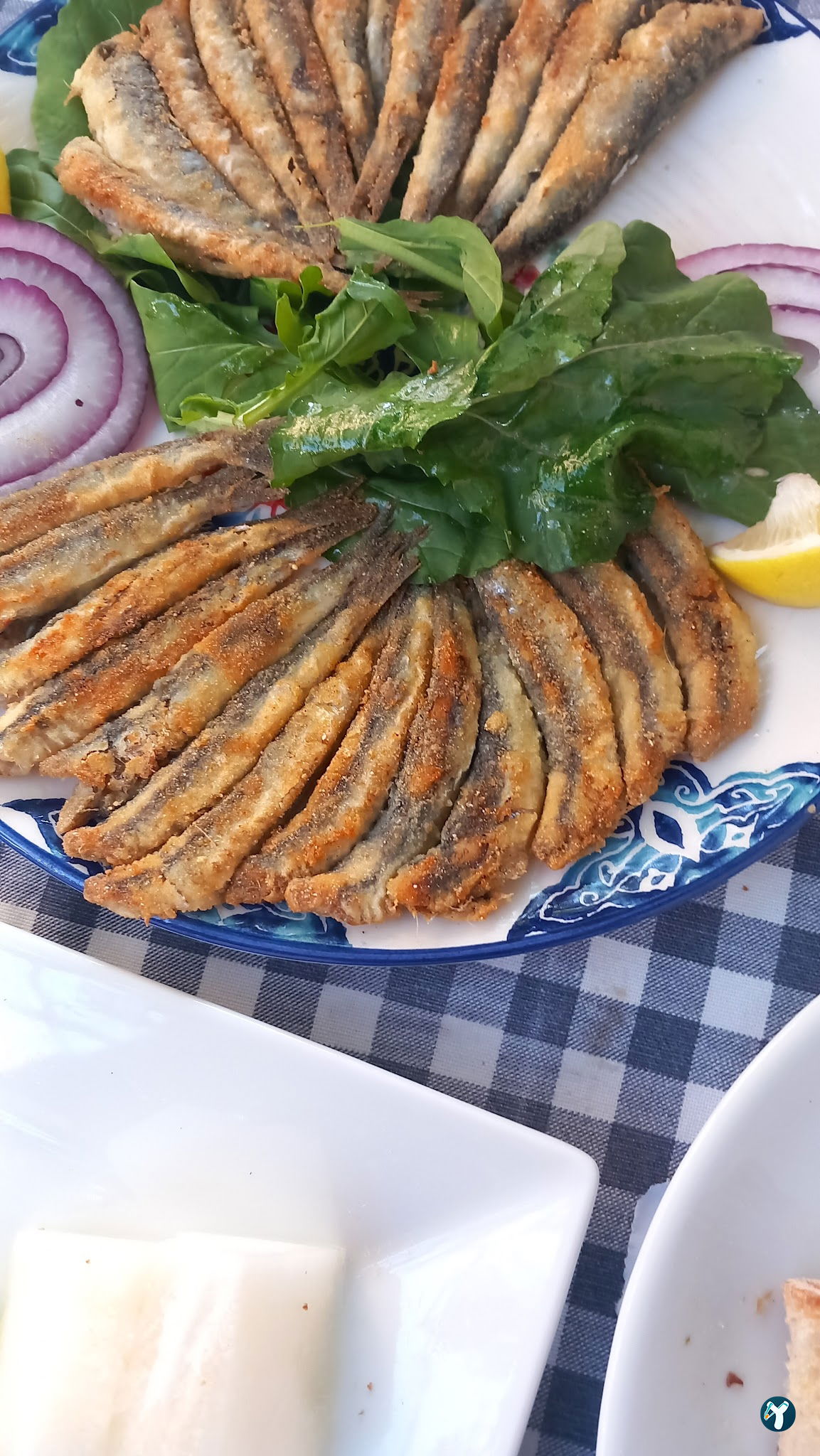 Ege'De Maya Bodrum