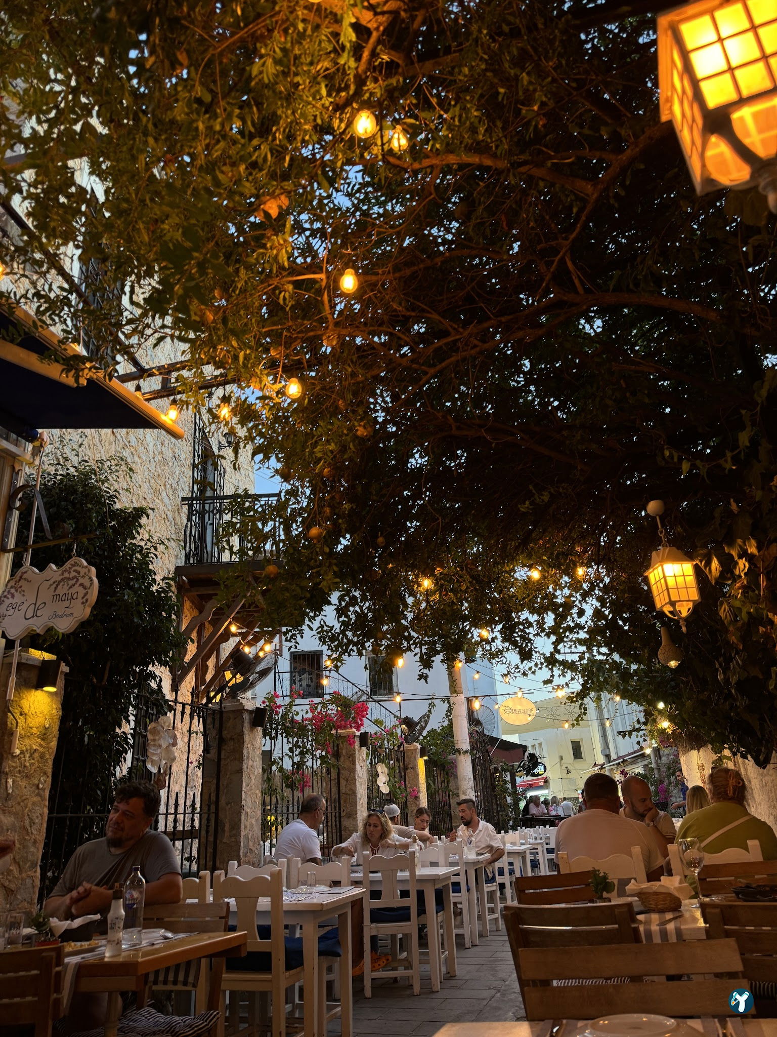 Ege'De Maya Bodrum