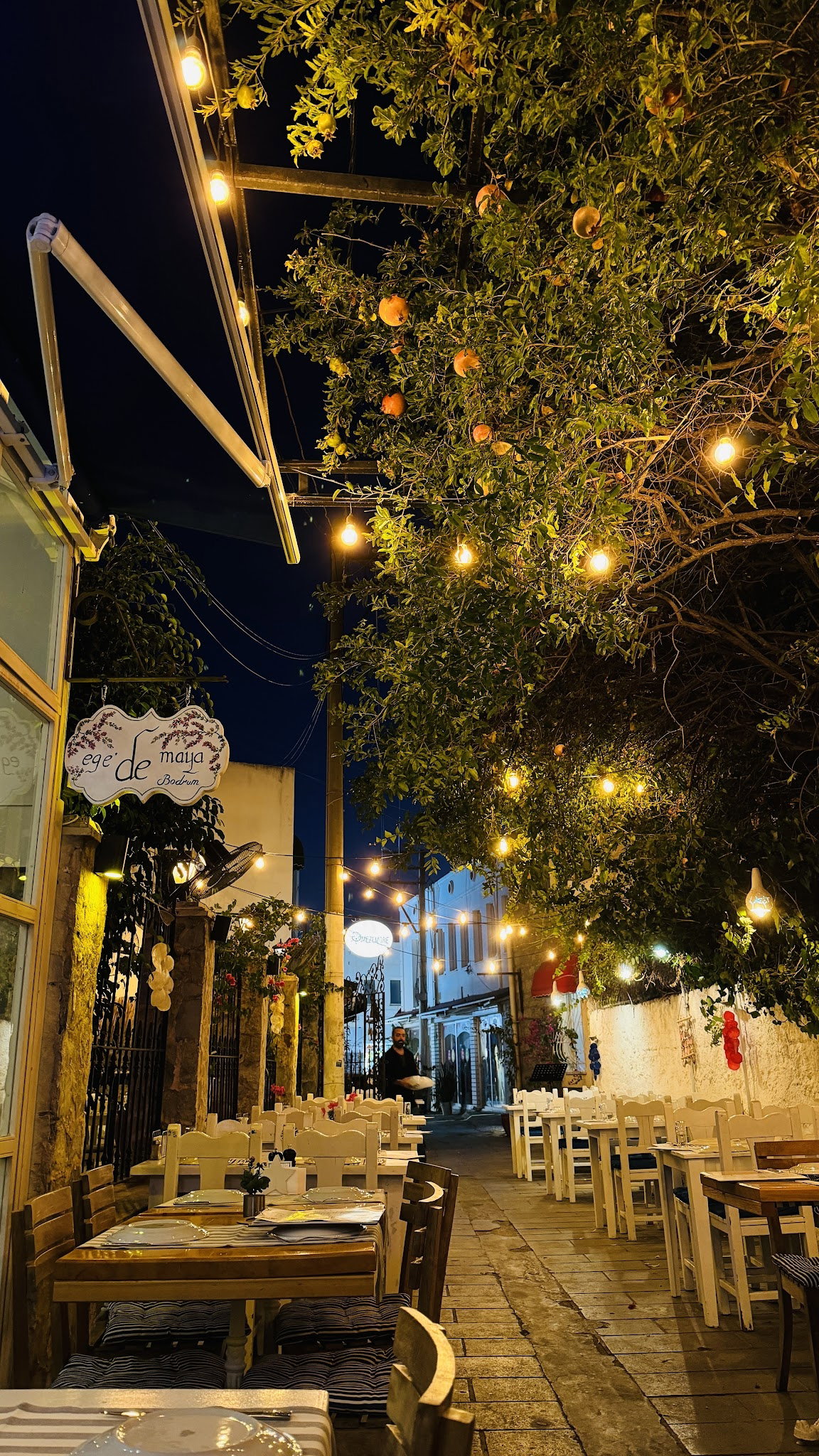 Ege'De Maya Bodrum