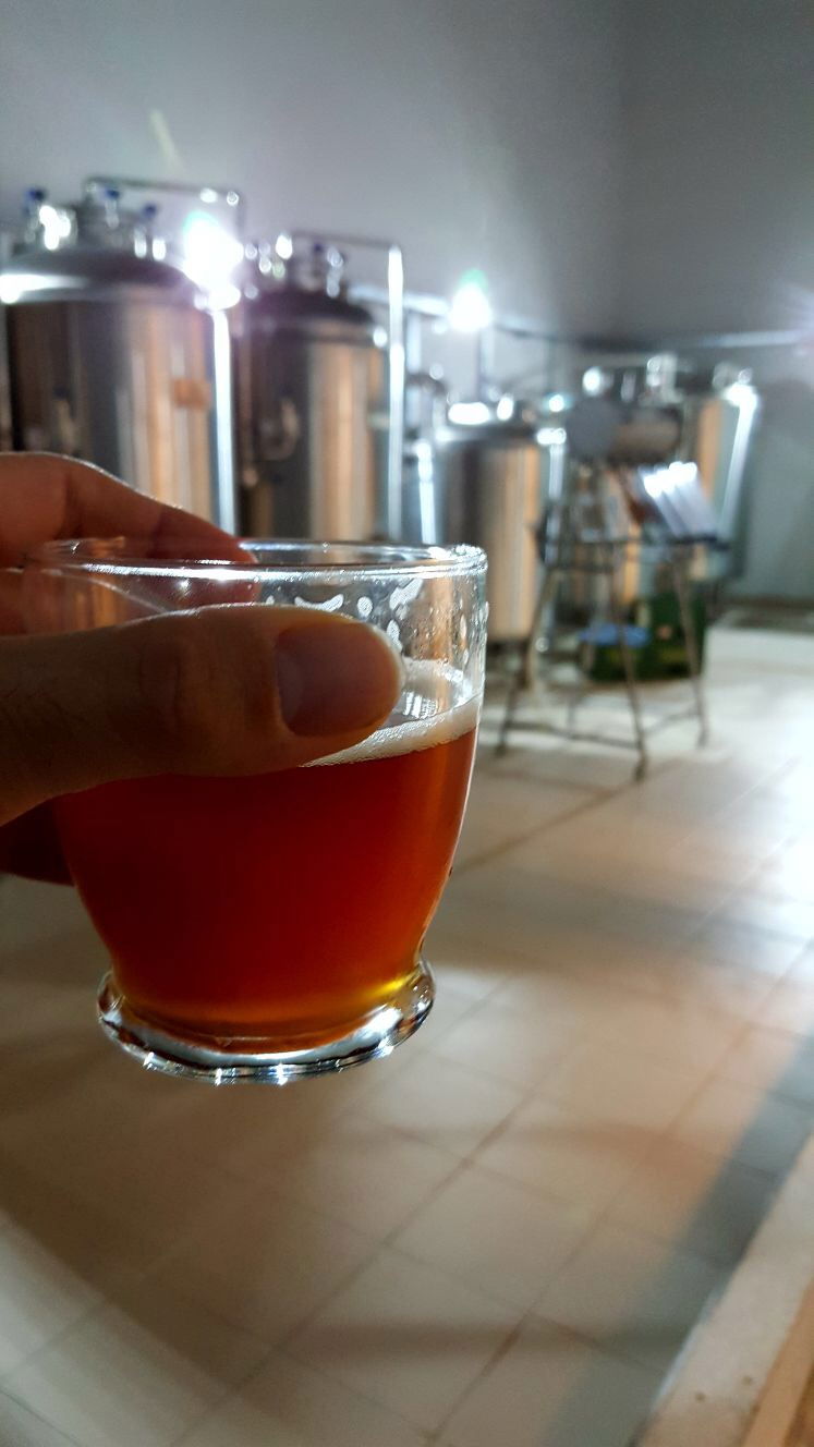 Feliz Kolpa Brewery Of Izmir