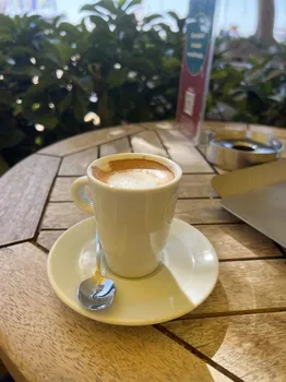 Kahve Çeki̇rdeği̇ Mari̇na resimleri