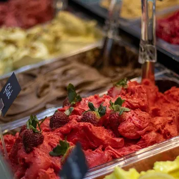 Zebra Gelato resimleri