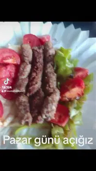 Elif Ocakbaşi resimleri