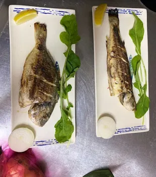 BEYBABA RESTAURANT resimleri
