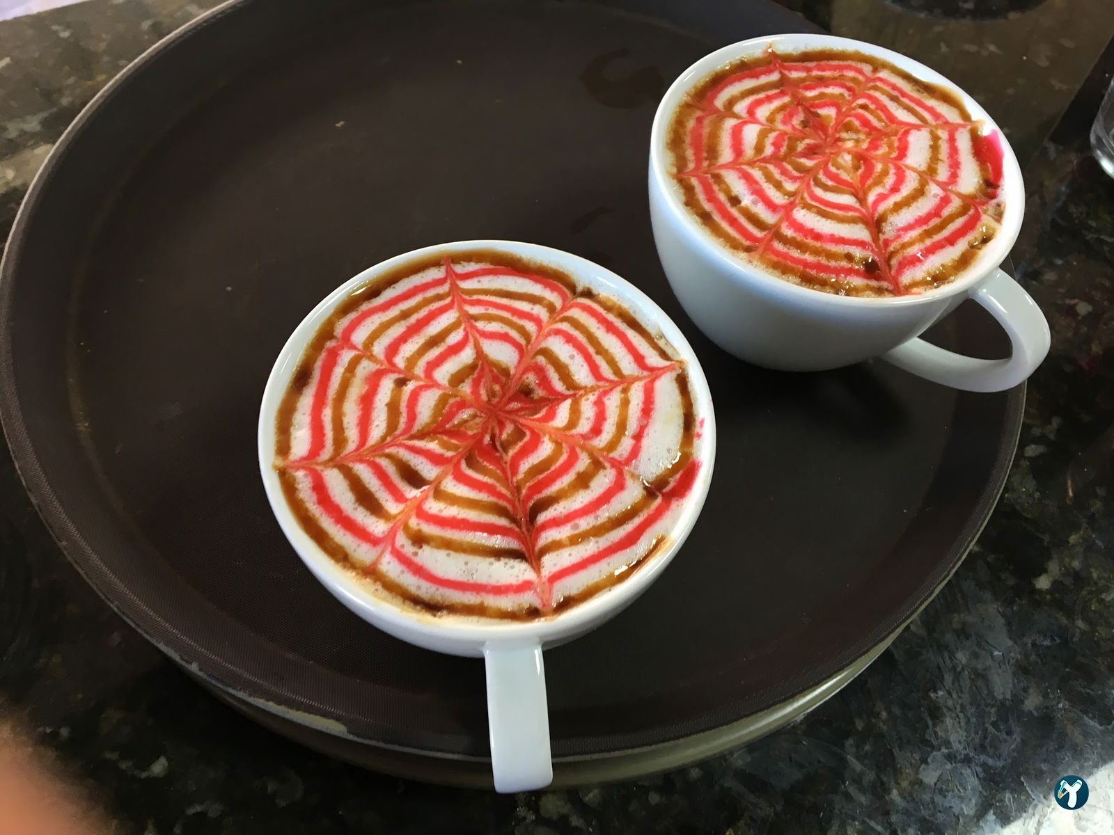 Muhit Cafe Üniversite