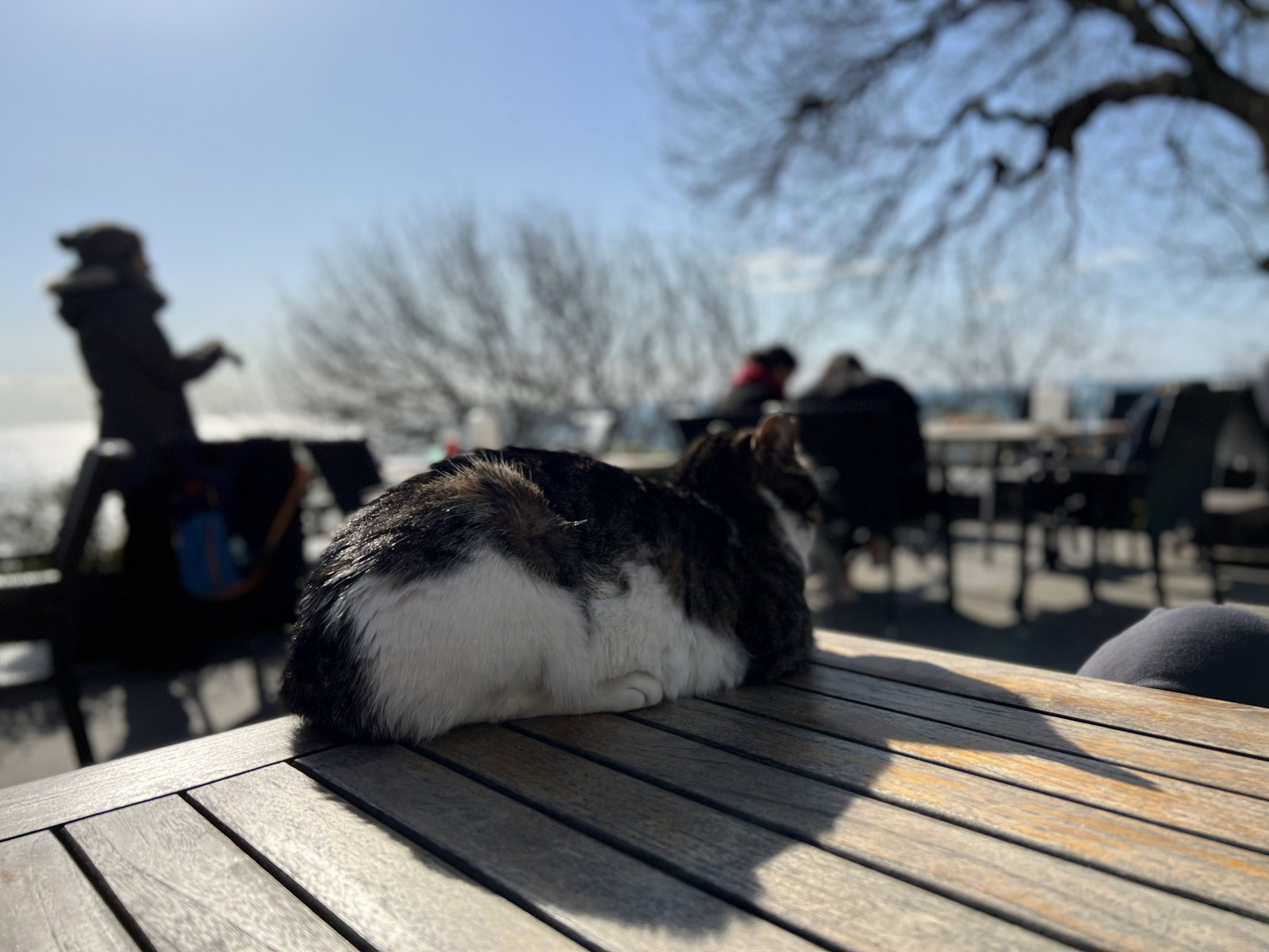 Idea Kadikoy