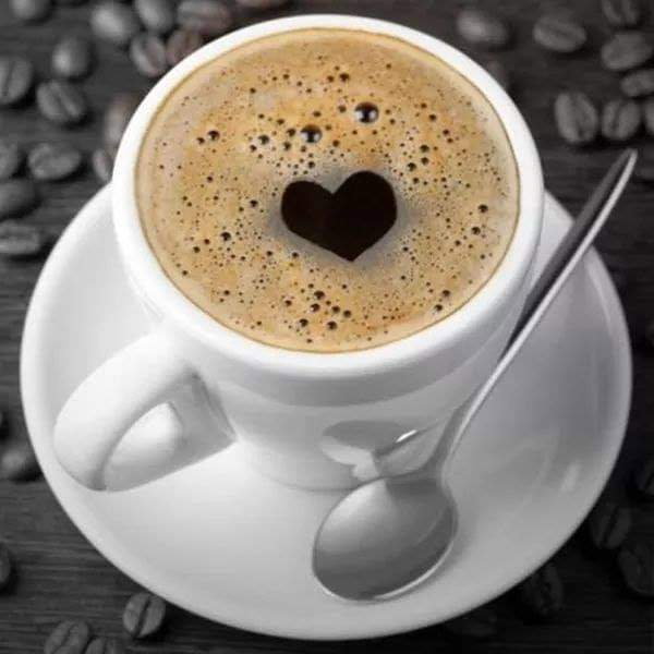 Kahve Sarayı City Center Avm