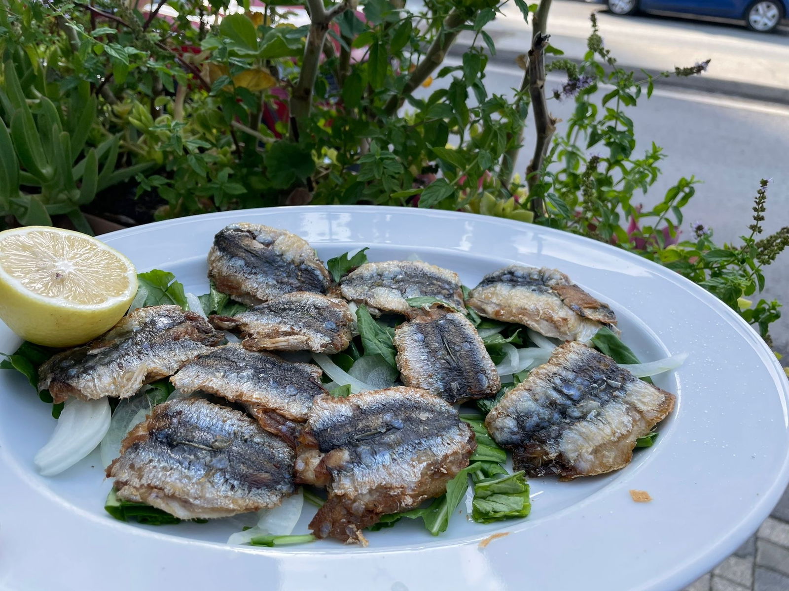 Bi̇zi̇m Balikçi Restaurant