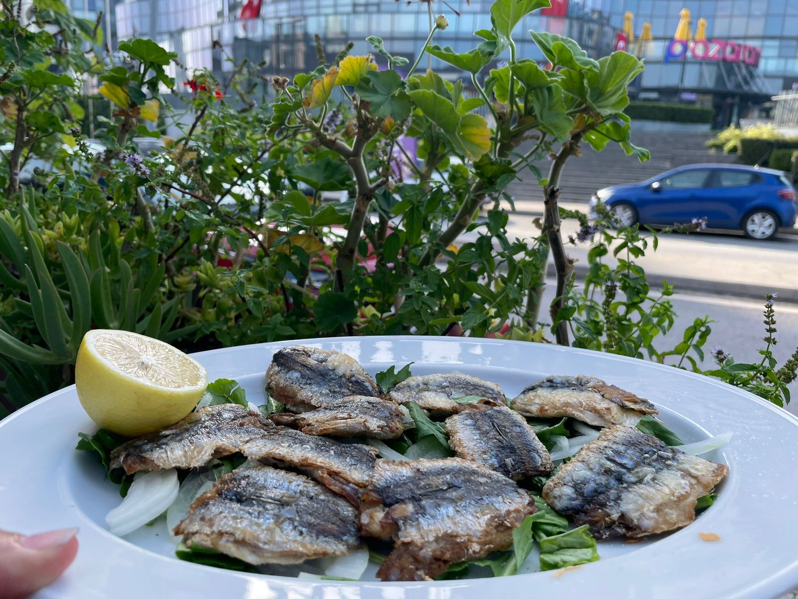 Bi̇zi̇m Balikçi Restaurant