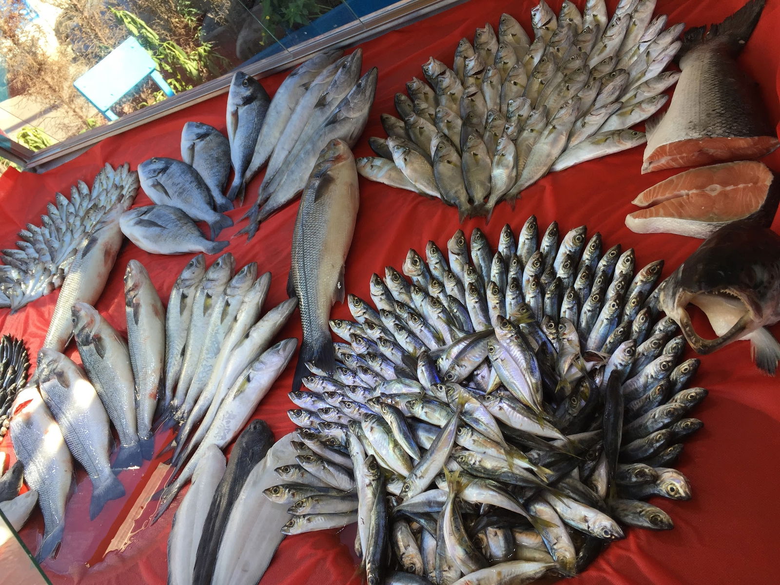 Bi̇zi̇m Balikçi Restaurant