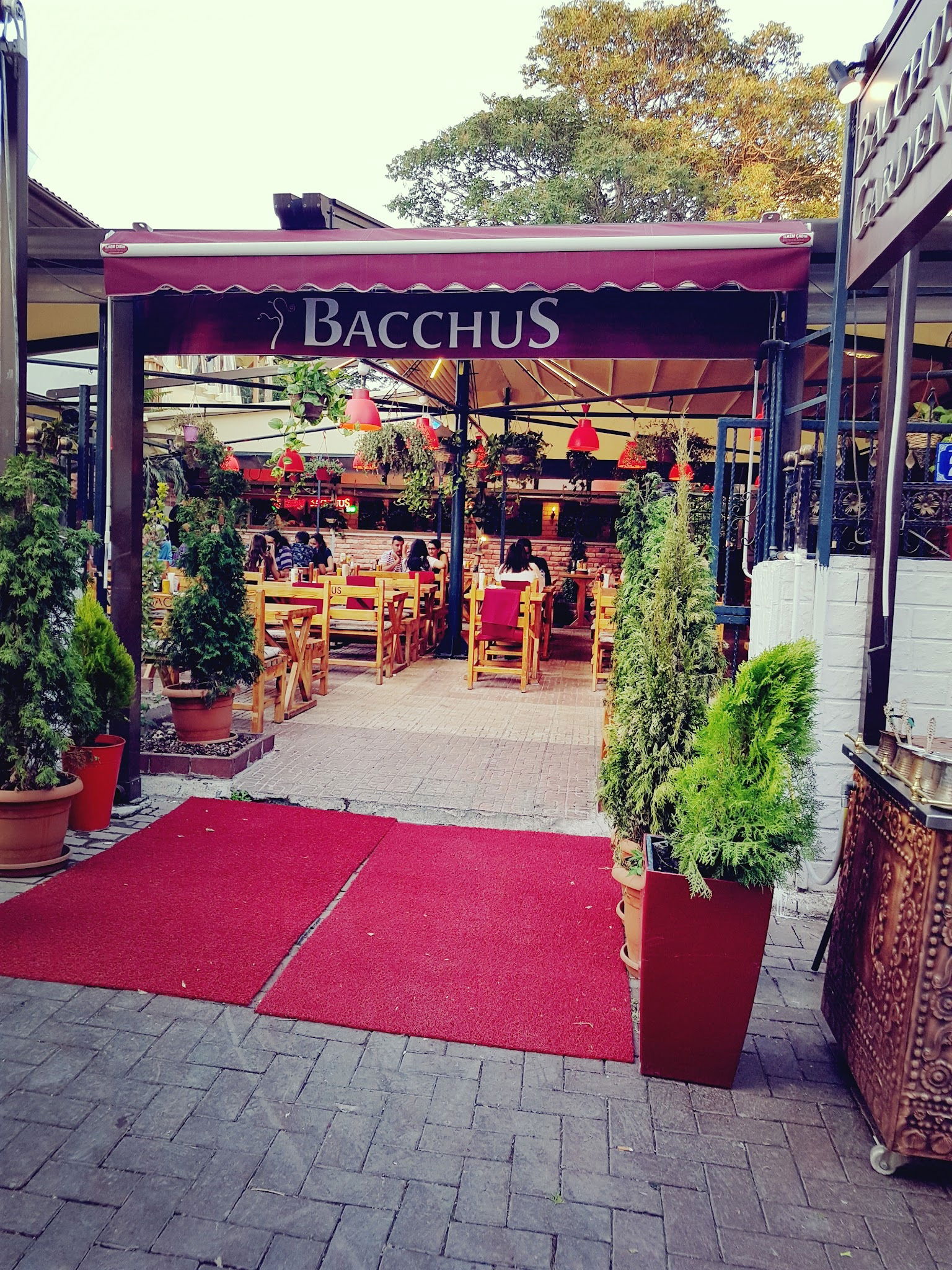 Bacchus Cafe Hamamönü