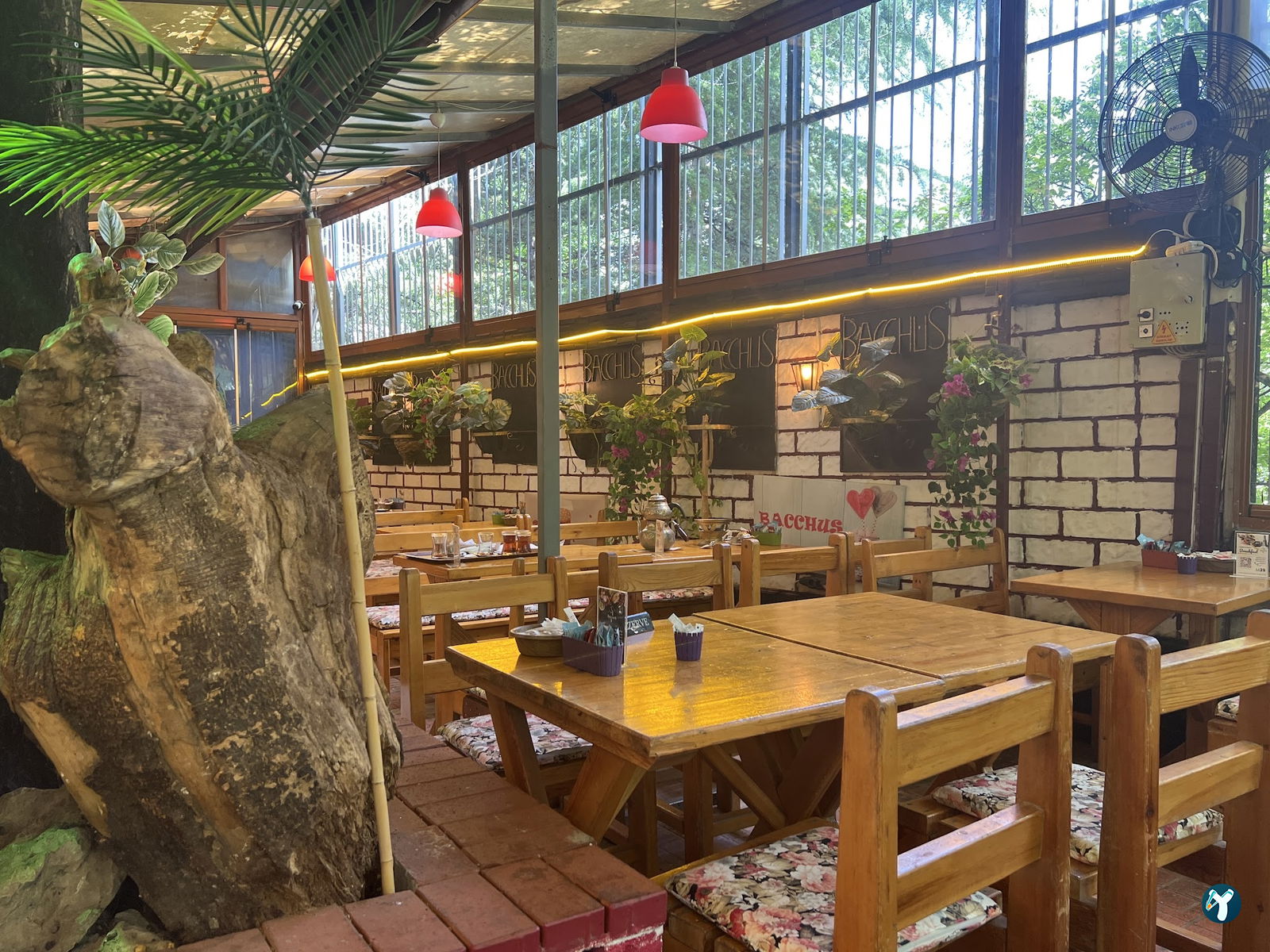 Bacchus Cafe Hamamönü