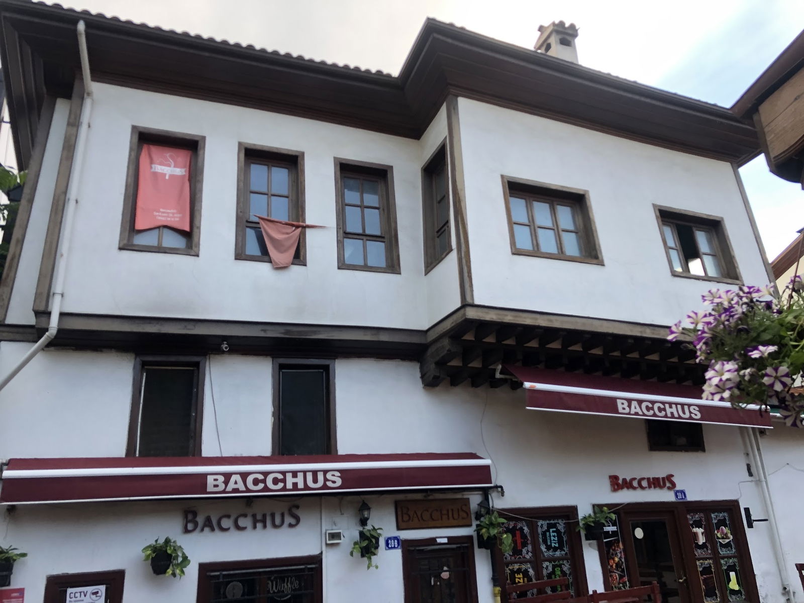 Bacchus Cafe Hamamönü