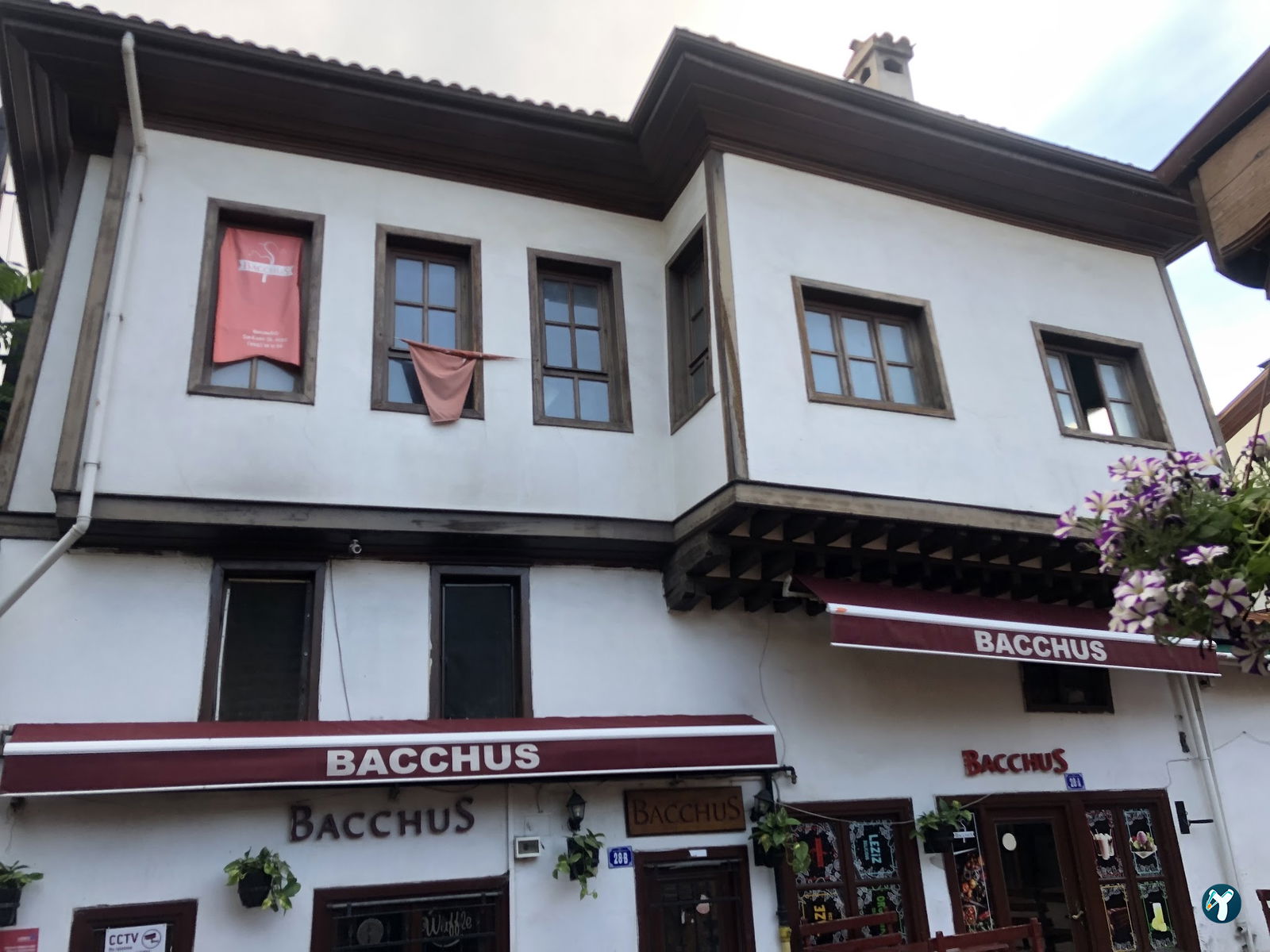 Bacchus Cafe Hamamönü