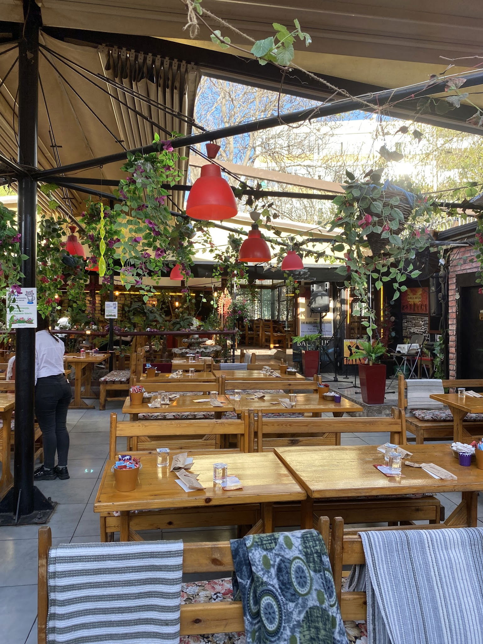 Bacchus Cafe Hamamönü