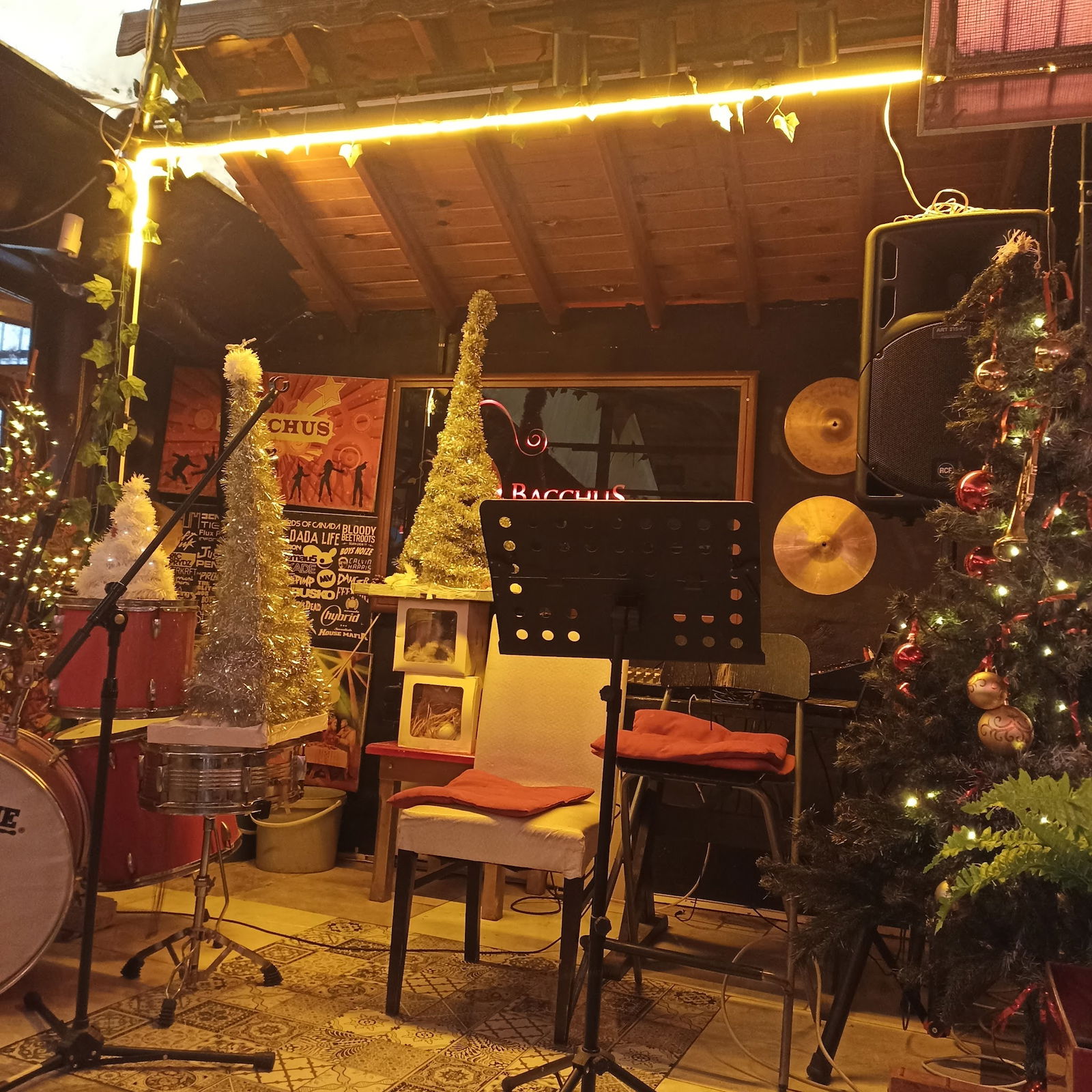 Bacchus Cafe Hamamönü