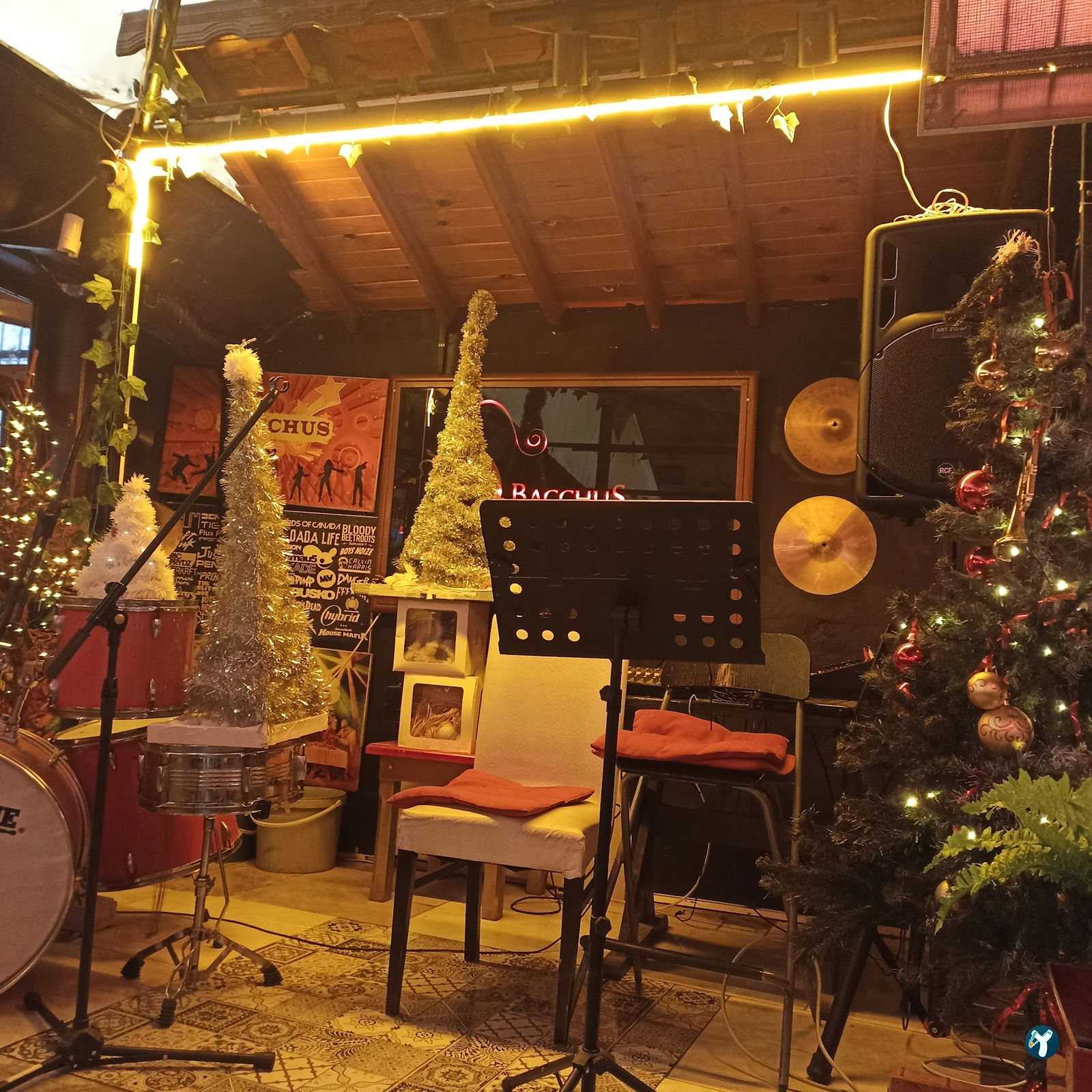 Bacchus Cafe Hamamönü