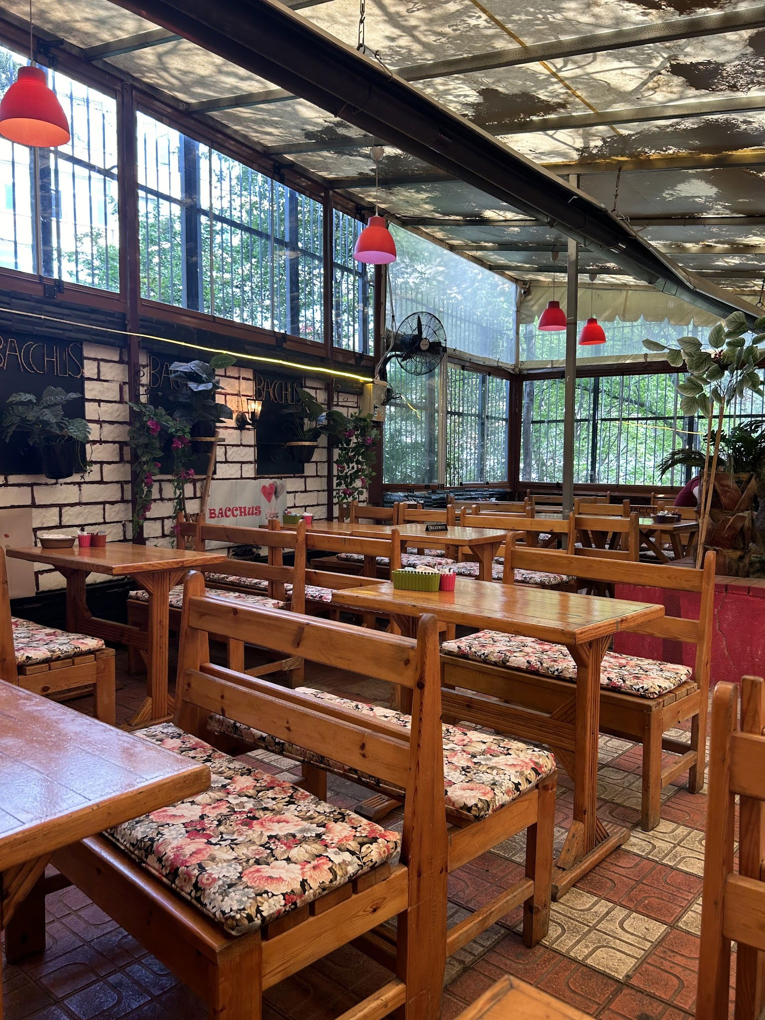 Bacchus Cafe Hamamönü