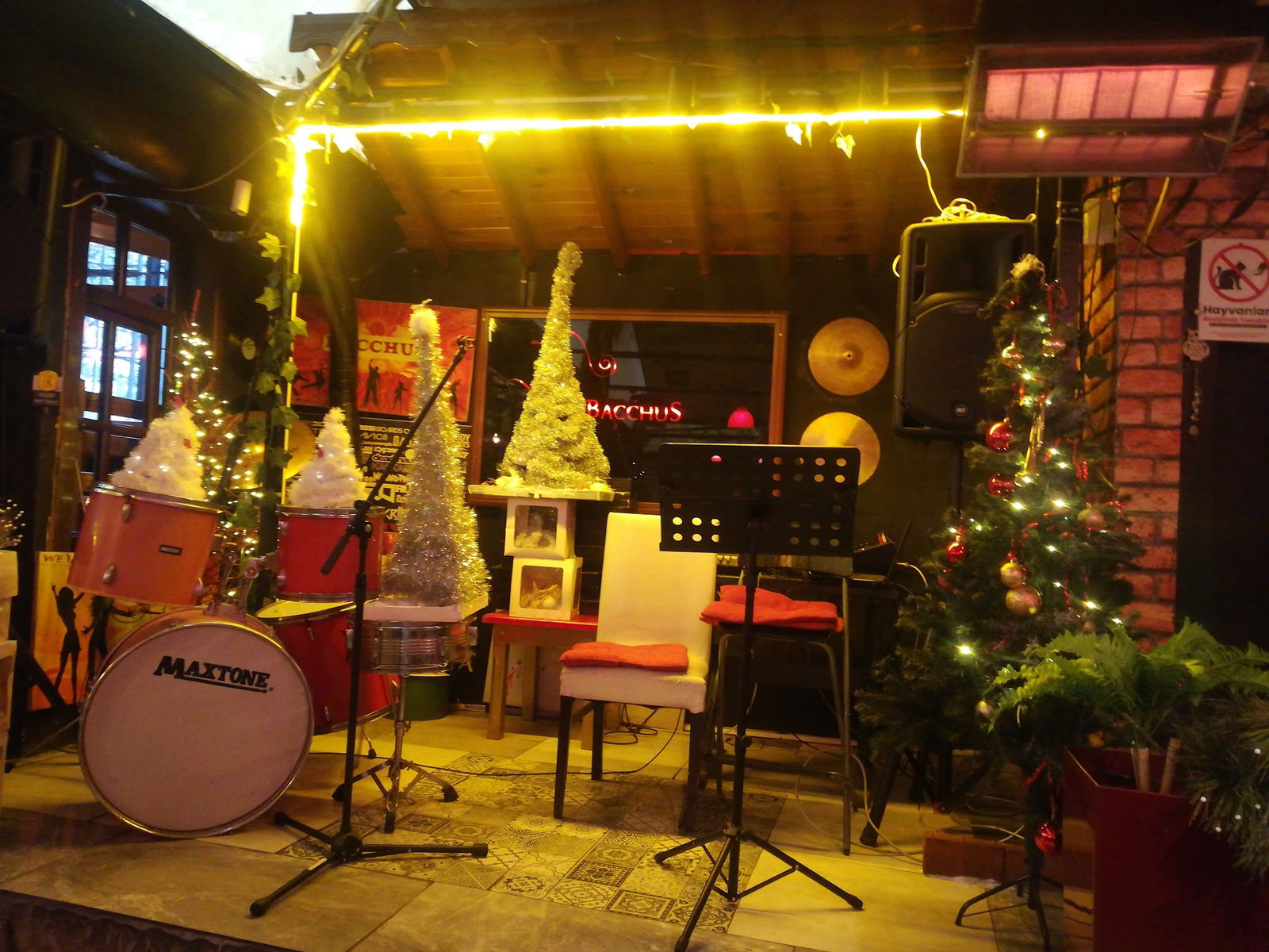 Bacchus Cafe Hamamönü