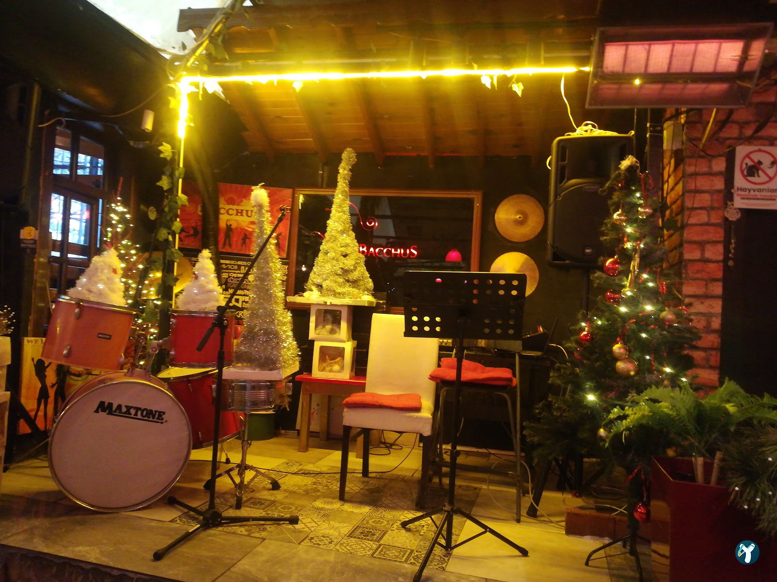 Bacchus Cafe Hamamönü