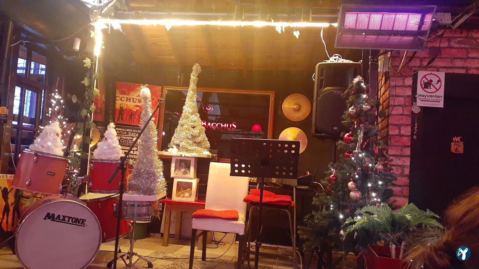 Bacchus Cafe Hamamönü