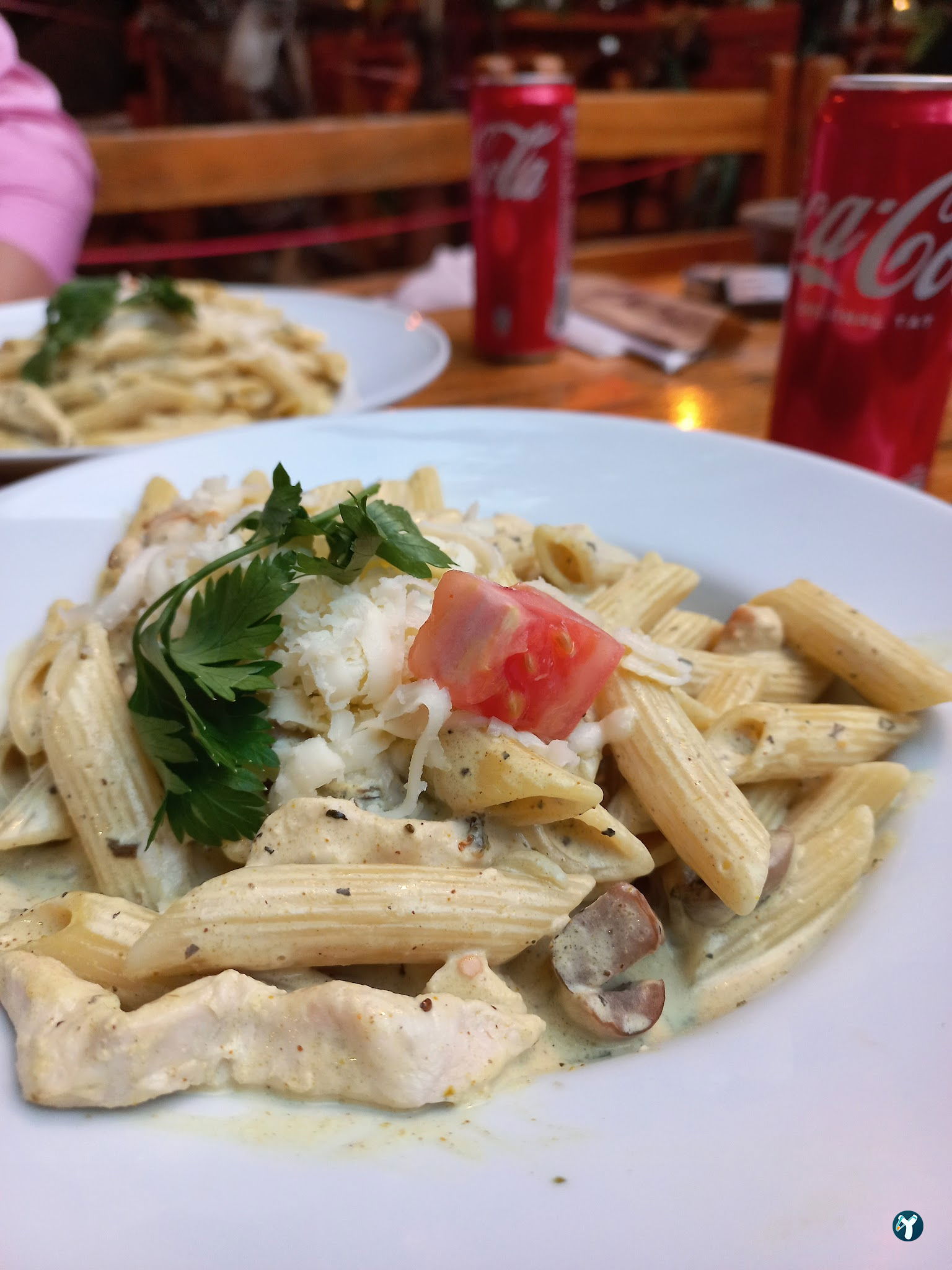 Bacchus Cafe Hamamönü