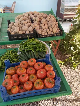 Gözlemecim(Aydoğdu) resimleri