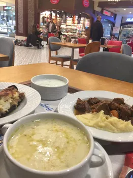 Defne Ağacı resimleri
