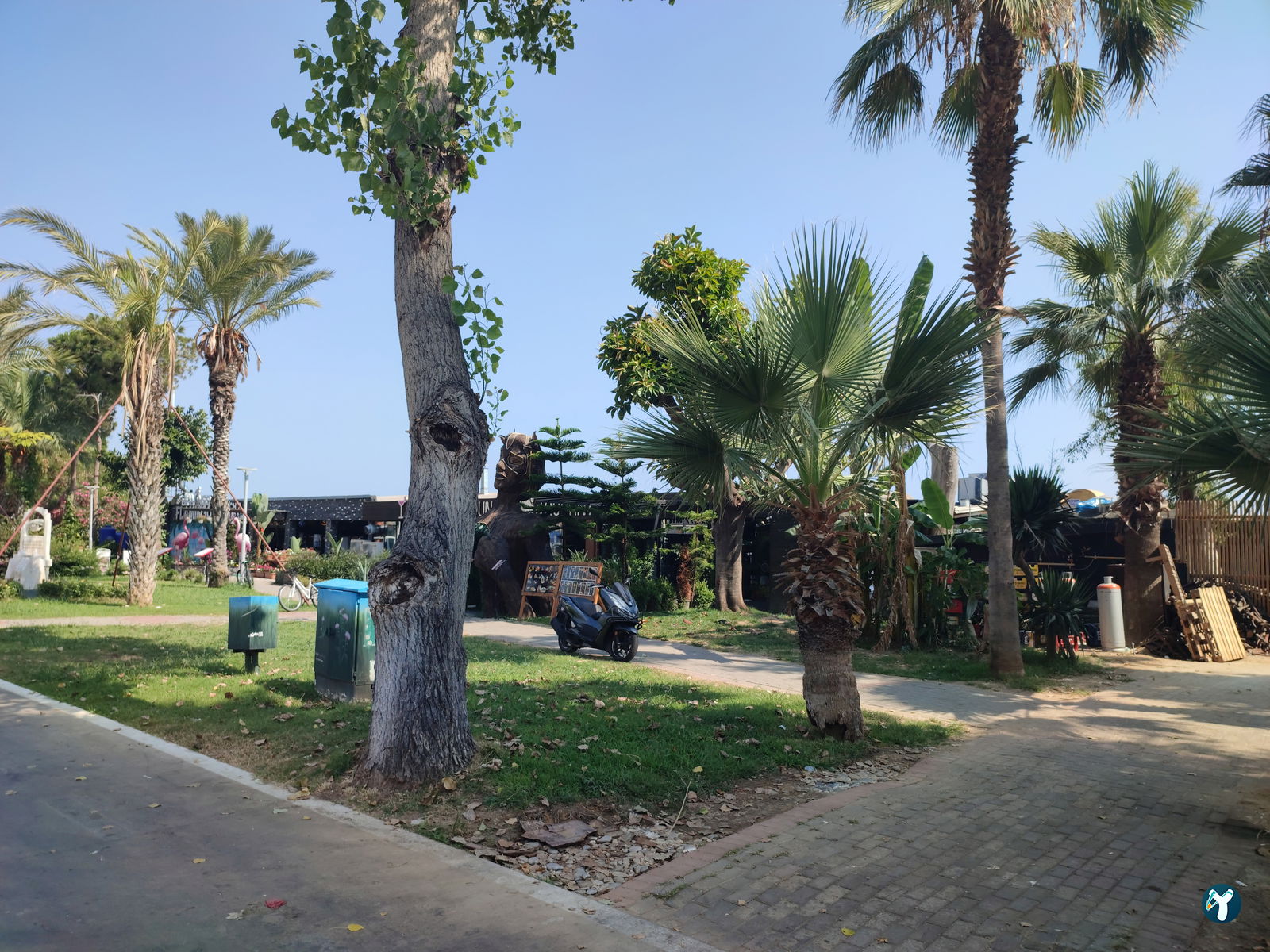 Lui Beach & Lounge