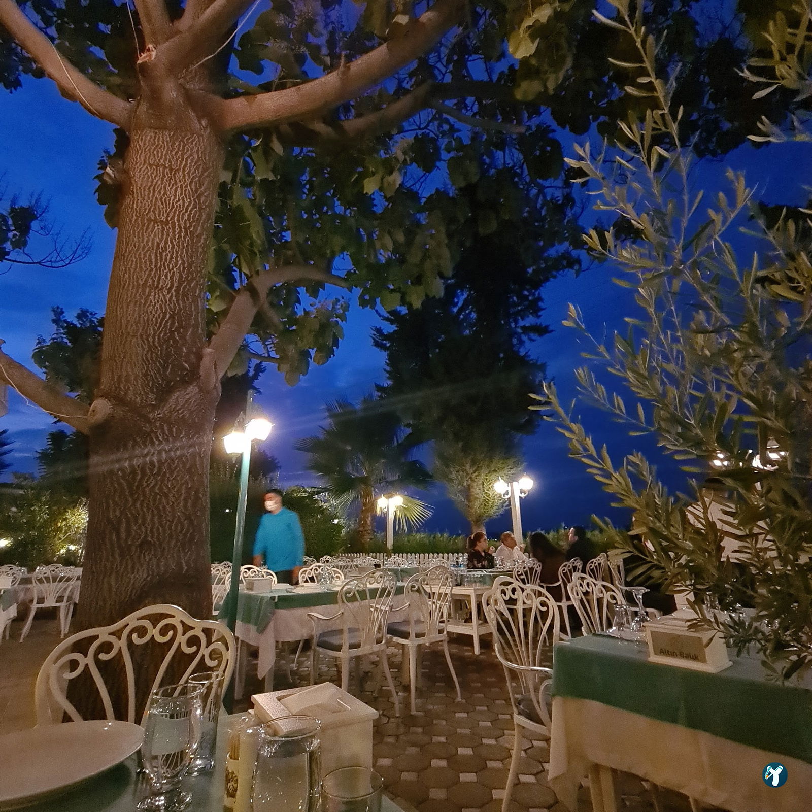 Altın Balık