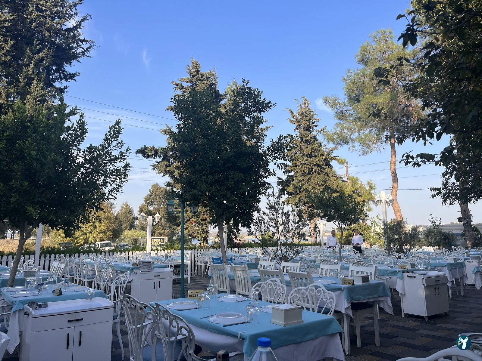Altın Balık